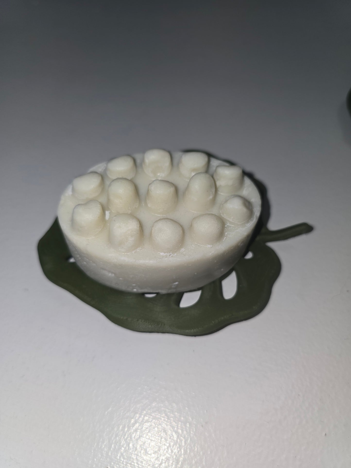 Monstera Leaf Soap Dish