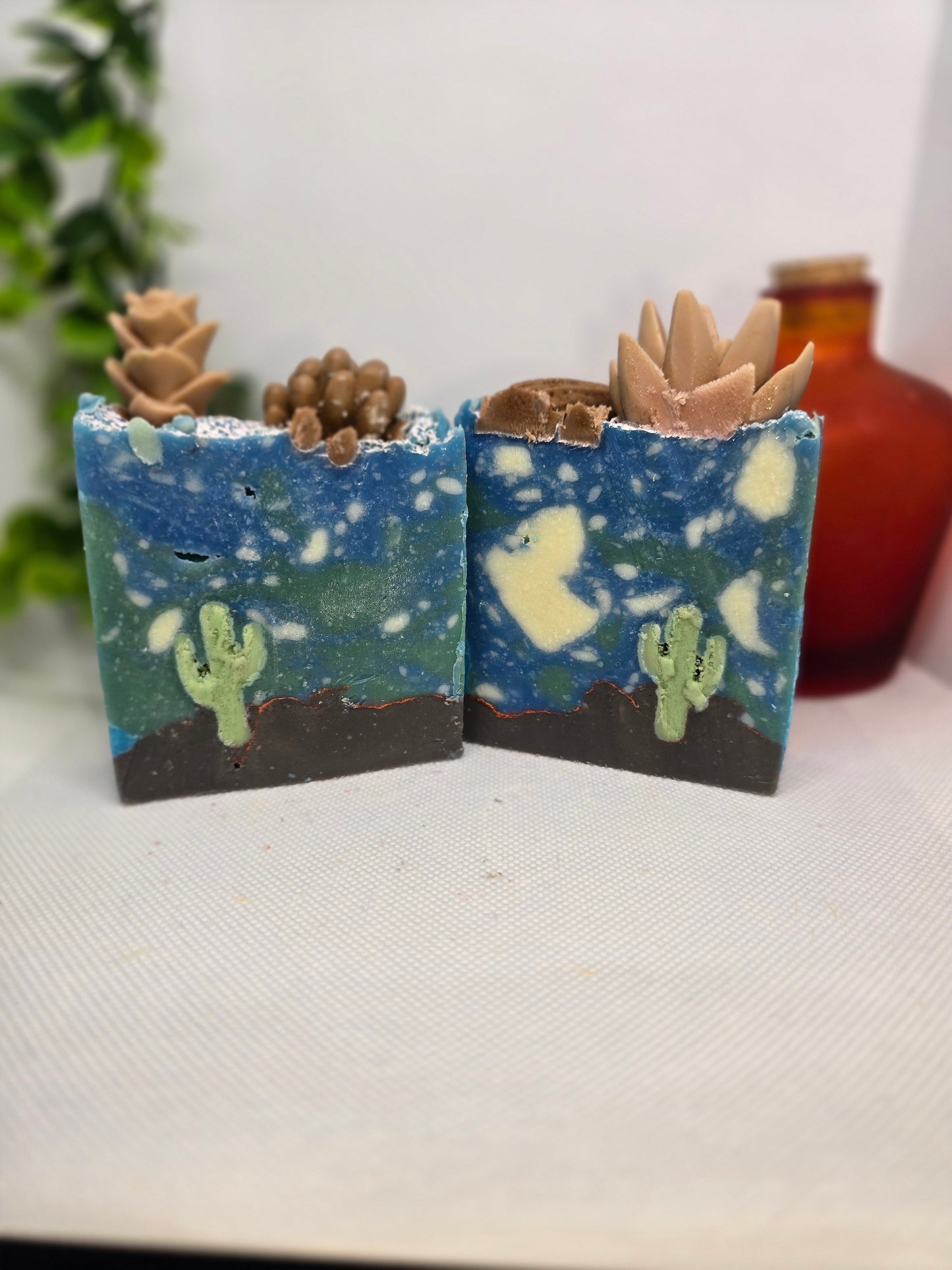 Desert Cactus