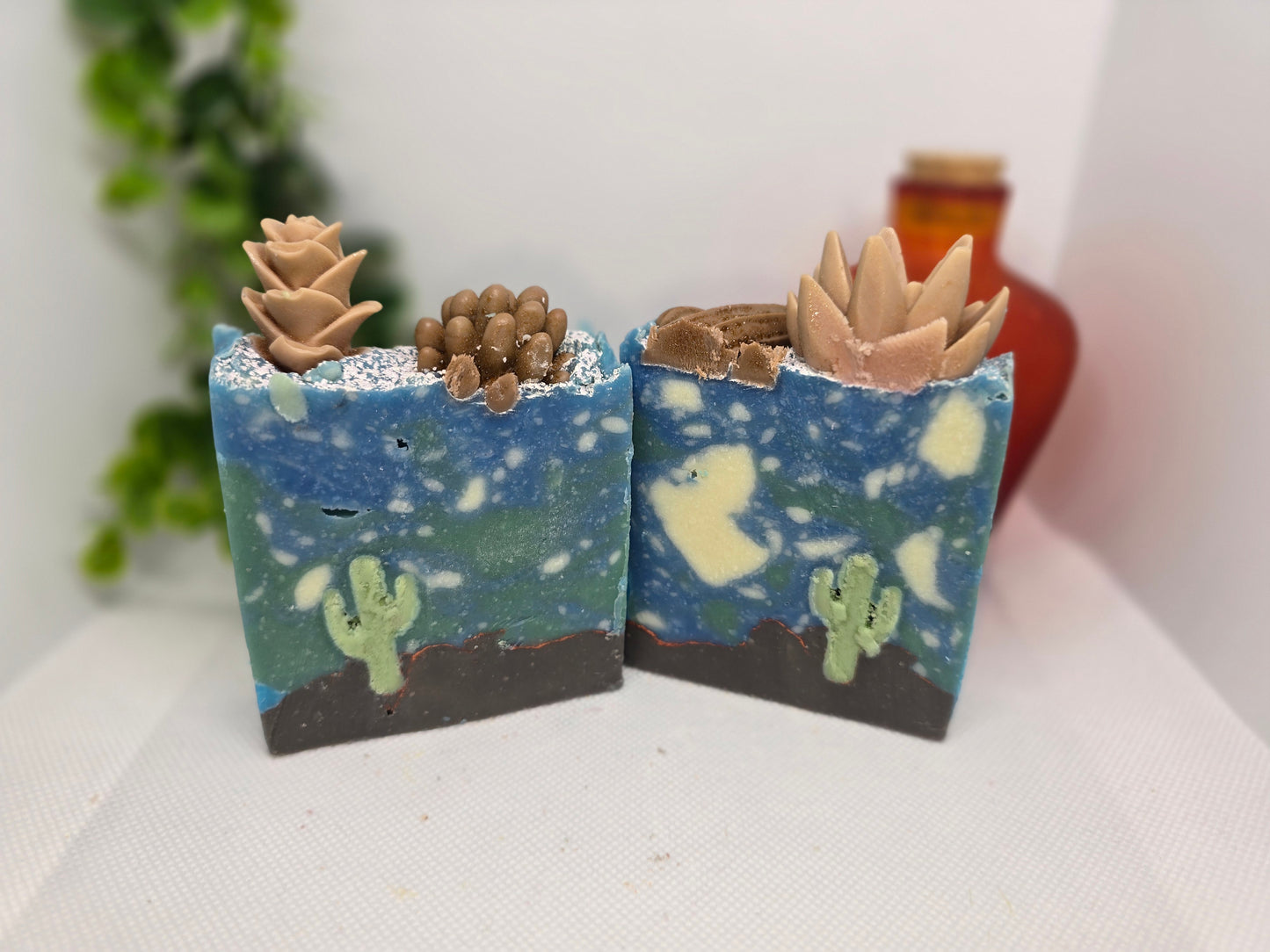 Desert Cactus