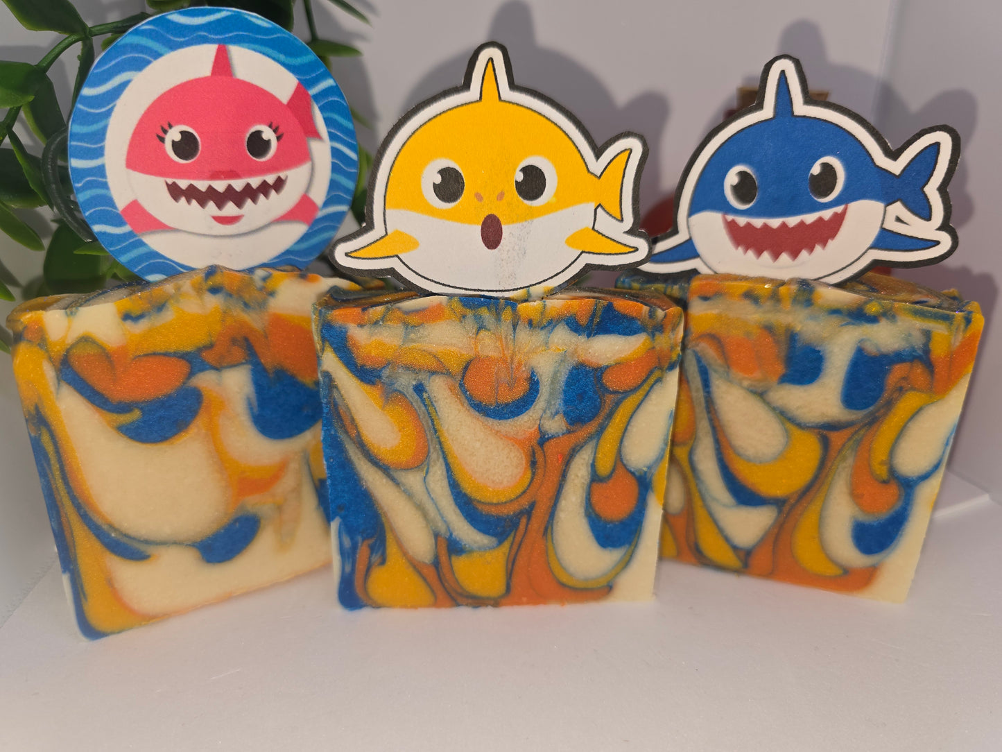 Baby Sharks !