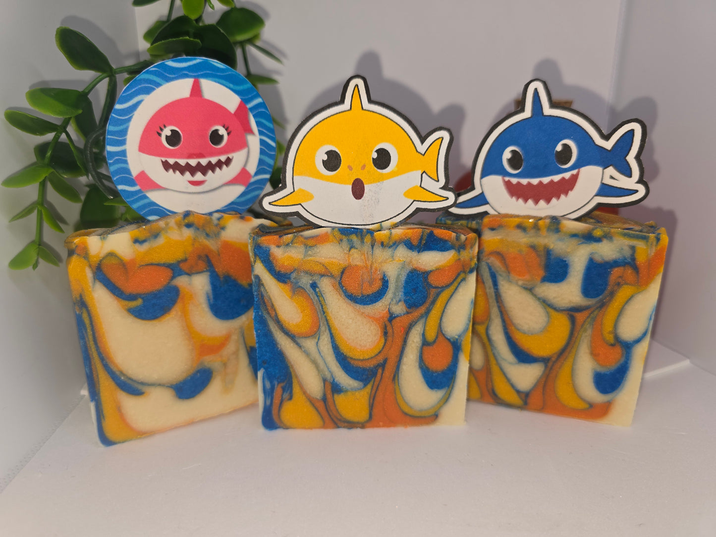 Baby Sharks !