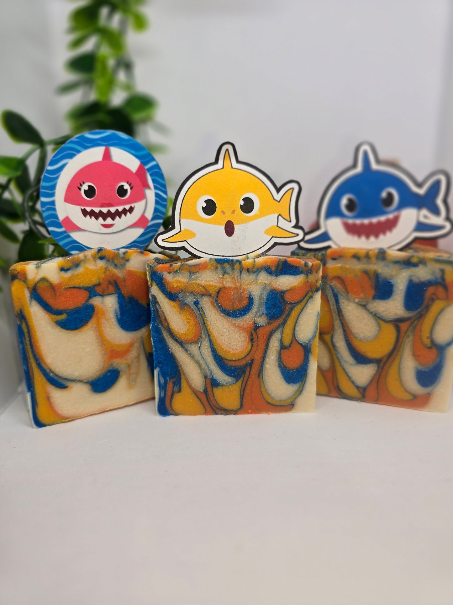 Baby Sharks !